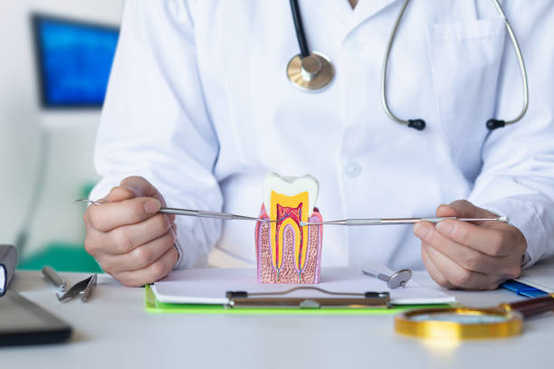Best Emergency Treatment for Dental Infections or Abscesses in Lake Alfred, FL